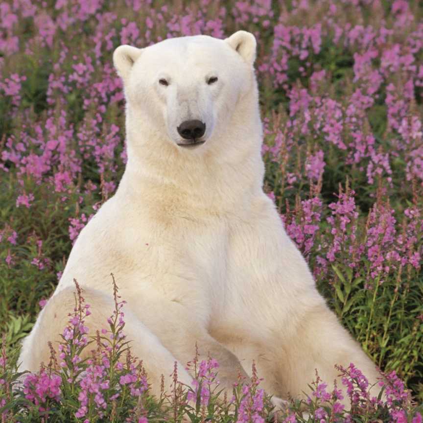 ykTQHr7Gwym7g0IsGRwRp7etQyOedN4dthsCUJlSbhxkiZxeAohjMwxMaUSK-f3Vjf-eYnMvhymq7EJauGBfooNR-X7Gt4Ig9otfBRVBcNa7xGsvon2PLIdjH1zwGnMoDPTBTi6cCycoTTAdr6HQhKjS_i8aYiqYewmD6hHtmlo-vPlzu-rTEIebEpipJMXTrrkbMx7YaljWa94NbdJ2EWg9LNKqmYrCacEs8b79DUiVfpZLGk5qIPcBq8apvfYOXrhFt-uam_3ju6JYEAj93_Yx53-64K4YSnNyzQkaupmU4ZSOljkWNr25wBWieeFgPY5KU37qvkC7rTemve2q9lqYmVe7OsPhI2MCKHSwYZsmTWsHgrRm0CrLWkEJUnKdyMH8zv5RUurZ4QBx8r2dRLVq8iuiVvL0N9VLpjGd9g4qwLHHm_6nYf__DnBYiM1zXsl3uxpEjtA683Kl8RpyDRhlHF4KkQJKPWEgef5dDUSVaqr_clZicDvRF559dZ76WoARN49Cb2n3-3Yo4Cgt886l7xOe7J4slmve1X322oVYYSxaDjUW_iHB4PneIR0E9QoOr4py2qTjGccmFeHy9g7Mqb9bEvepD18WPHjs8Ze2uf9nnrSCNGY7UkkNisKtzI3UphKp_lbhmYj9bvl9-AFW5muS9u5o-x2nuon5soKunIXrL_7rKavb1vAU6Bkf8oHzZ0Z4iqg6v16FNWJiQdzxhLoyHZJi8RlolSppHYAtjuLTLkbSBGcRu9YhtQbOwlRVI-va31HXb8pgUAStB3K1e0M-yFZgkovGlbkCwm2IcSi6MtHqhvkVfB2eMc2cfSZGR7bqwvRLIc9CDXlqmk4MiSu_ZpNp51cuIOxoQS-eHS-jClgSwD7DSg0Z2sIpBGGATv5J1oaxwUDRvtVtfHH6TocqWupY6z1b1rkxJlI2NK1LozaDTeNHcujonJkv3kHPQw6kDliCD87ZbZZY