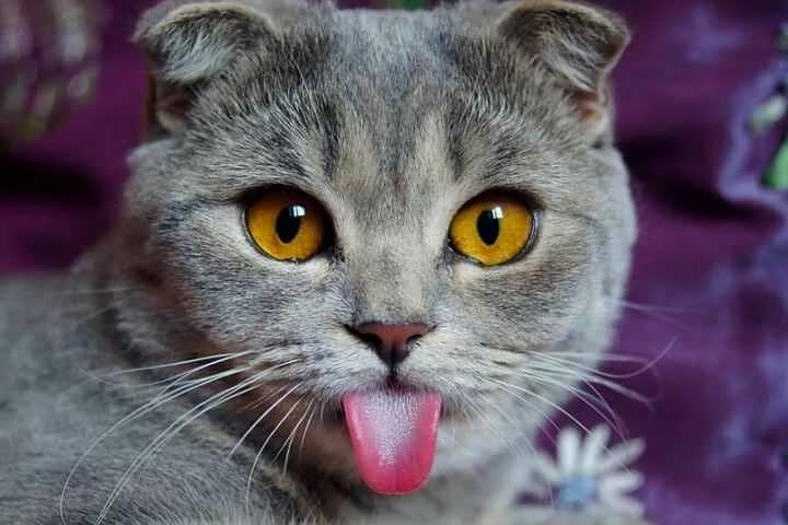 PI9bU2nc3g5C8HEoUNrvALCq6IZk7MaA4vwOil3dDEicoAiS5fSopffpNToO9r_5KDY2T1wTvJCbYHYX8enzZGWeX1tg5NcyVrkoPVXrnkmorsHHFb2TnYbQEpoV2Rwp5PTkZ1w5aTwSeNjvlkO-rEl7aj8FbrB9InELG1yA4kB4Q9KuEGSK2vqcOaDRVucEpSrYzkDoyrnqXEJD8ek8zaTY-LtkbTH4mgzwJ_pPQkCl267icYYoKecp8x9U0Fpo5Fe6Pvg4ElqmhClUKWb_hGn62N583O7BBvS-F61V2NmsVEjPQGX9kOY0KOeuQ8I4xVtO4o2a9CUTbSvjLCSeuCyPkj6MPHbaBqwVNN0GdzixougqPCia8RZcpmP11dB99MQMB0CxqWgauHSrpvOKeGnDFm6tjnStYz1rA3joPpygf07qfNhqEp7grUQR5o-I9SrQ5jiUagUenMZP5UlUgbwEQKu4he3sepB4lwZz0gQlr1LqHXowpRddj0_EpKbgqNvSWuwwskpieJX4idLDMB1avAZgyII5eiTKi_UR_N2w3Kx_sI1BiL6MLCumc5oY0aNu_omGVD0L5QfjZJQ-4ODf2v6MKPYGyhxNOCnG0zC9Qtyi7JwCdX7Mrp_VJSwJ_PQ4q3Q19ZgW7OA_6ruSoKXL1koJToQRFxkH36iMLpwIcxr2nMT6bgYsWegRuguklRYsOrT0Fr3KiDIHtW2w2Zg88F9o5aWcaiiso47zMrz1M1qCCepYWYsh38sw2P4IoMsiGpTMwnamMEnwycrHUPWqmMII3Hbt_vD-Q00dzCmAQDy_hCE1EHaIaBM6m2Z8MWcWbmVCyIlb_YNXTCiO-CjTvgZs_GISzshxUBl-47zlXtg-tCgaaULowptlEQQpsIT8e4TlxZSKNOhvIn9uyFEzOobZhqSlk8GnczAglmjIS56y9PS-Xi7wYahBdkuwzdpEknAU1tnmwFqHbV2s