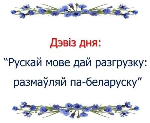 Picture background