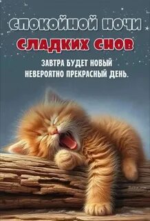 5xNdkrJ1bZrarqN8VY_o3fzBDz3U2TzA_T7Gkeb9JrXNn_ZqTpiPxm8WdSW2zxGVkmtADz3-7cTVd6ehTkx0TKYCDoMiM_rNiyi2flVOqFqrkct6wlgrhm2qBJEmc71p0QK4t9RH08zlkzAh8EmRApL_U0q5LuKeROn68IJTJBxmEtiX_-qv1hu-qTofCqNa4sfDvkEVaQT9pJuOvnX0ohOOdb5dCdwCrtvxIeeGncQZepWcOSCv25Jm9_yCG6xSJd9fWzcmpx2bNiR2GE5qGi5DyjFN2KHDfyDfxfw9-S3cR3-wEIjciuiVeS5nypIJ0HKfFfXlIVJdpTk_TBKqEKkU3xqzr-rd2HwlsFbErV2kC4UyTlFjz33v0kkxtfmqkwt0eZMAWs8k0vOnIctVRFt4WFl0qSEb3qj5ucKQatVsnBUSfOht15b-afGYDCKd5sGDfIXdKcsxaB3BOnr065nCu78QRdkNahY8aSFKGghe9dhbPm3lkNRvsnnKFGAToxXb3LAtJFlYd6M1nUQpEu8BS_TN3ufJMiPRzj8wcmcVS7yxVU9cB22TsK4lhpMPWbPc3bku6F3SYfN0TZij2a6blhO34yObFP4rcpQLbVfmiY02Qpfnz_1v30D6eLnhGAH6OZtB38Zmm7ZvpUWYx1a0XJt8JenTmuM2vQKXIhAiHtEa9KTvX1g4rvxUw-pRpgoCukoSqMl-ZRlBsfp-KJQDO7CTR5hIrF82JW5CVcRRP5lTtyejHBgnvj_EEGDZq1rTVvpj5xHTuOF9Vc2jEO0JSrLBluIOui2VTTz6cmKXT3s9lA5bQO0SNGfijt8FUz3W1Pnj5ZAWIbU0jVVjEqud31O2bWURUn_gfd3EJJLqQIs-y5umCX_lkI8wfDGgW8f29FOHlw3kk7PmYIafQhF4kd91JeHaESD_8EUd4NOuHNfa8mfvk1BxZ7oegGsSbICA_ULd6AA-LRVONI