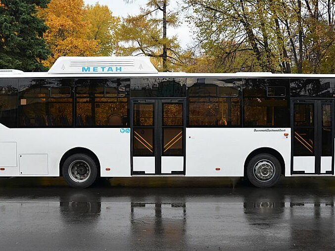 ���� 4270 �������� ����