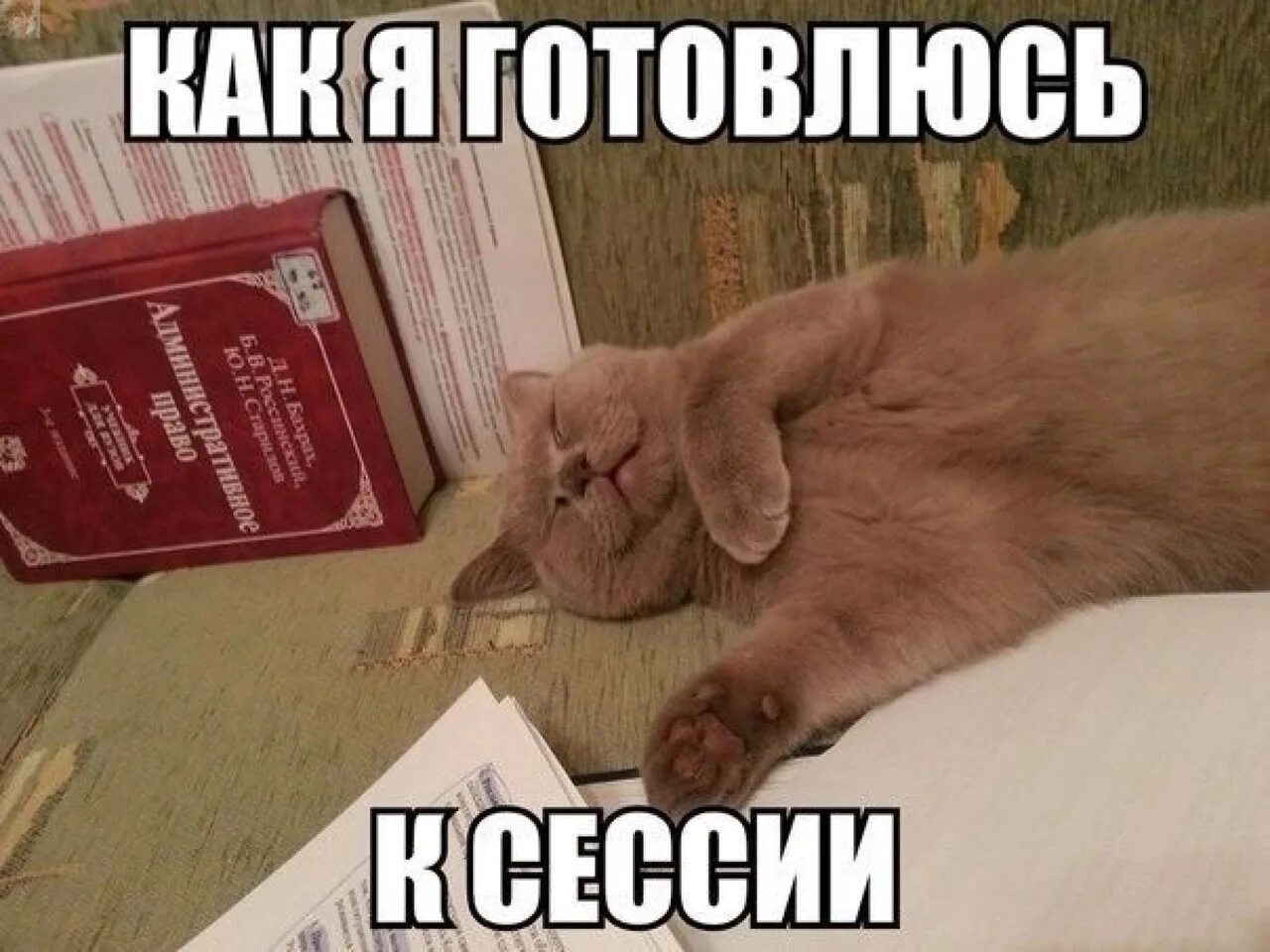 Picture background