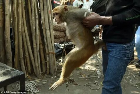 AEHCk4wb4x91E68FP6YTHy17e8Ow9UIGKj606wuVS8z0dXBZIiLKE2vv-3qdQeyGtPlNtQDTtP3fUgWhHbwqsJRVBuf9fjZrJLbvhQ_2Msr5SmoGELCTog_7AHuu8NuM5-O3XlBhWLAJPdyoOcRtArDKqzE3cxJbj7OTwQi4i0SzkaFwmaphngEgffWvB1M6v6n5xlIxkrQsu1Dsz2c_GFVQx2xyIsjgOV6_W1jkOMNRG9jkVXGiKC3AMaDZmXm0AIPCMFhbUz_Csw4nj8aSCS2penZRAFC2jGvDjA5EDOkHkAeN0zIoArosrppIhenBYhsrhdZQ0lqcQ4OCeOqIZgOTAQDZeLPOsFBtVH-VcYjtu_nHAiBBBI55kT7fRY7JBtAn_KDy2NO5HMybSPS78VPb2JV1M1ApTuLSUQupyCfj4zASeAnyL9ChbWX_ZzO5bMpKxdBCIqdd2xMNT4X_6xRRJj7iwhigOJ08GCj1CJKzOAn1ZCHD2mxhEnEJ2wnlk1MCIdtrINwAUL1HvvSRGPzYidZg89PWjuiA7i6HfCsGoQf-oFIJAlsPDCqY5TiCA2v6drZTobnNEKAg-mj6VGHzYrD4ySGM81McN0-2wstc2Aqmw_EztP140wzcl387ZXFULmLQWwPpvC0JWdbZ0IH5CgcmExA7rxKSg0pqiBVDY_PQO-mR7lKgDIa-1QAr__ubxeCx04VcuQM-PgX8Spcz186RE6qwqU98qviVC7GDCWiEpWFiC6xRMAFqauo18SByszvrcH3joL62nWYiWPzZ-NUhQOJ2f5iTH05F7auk4cYsksLr4HlM3PuIRRlCscoaBYcB8sg-EMJiaPmaFbAh8hBbaSAsU-EOVo92ATi_6ikFoDDzNf7bAhx-lI4bFPCFPGPgeBPpbqwL6xXpsNCbmBZUUVBLTcJiMHoJ-oSwQ8OSW2nSTcFQnCe8xjCrLOgaxSCxoKRdqwFcA