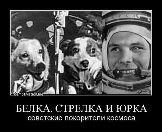 https://yandex-images.clstorage.net/V4JmX7240/036b08_B/cldeQufiTG-MXWdc1ULvyiu2RK1966jZvBMlFxFidt5uZF1-BfdARPIC0LcMRcF8-iQHRs27I1Kw8IIAs18_4NcjewailhmL_F02GGXmLmrqtxBsqdr8-CxTUIfRBBUJHEZbvJOF5zMV03CSzCCF3W4AIcApnVSxYEF2c-DdaLUxFv1gpXGPm1_cZuiFcc5aWNaQrc16jJvrc3YDhmZESZxESAzDt5ThB6DQ4VyQJsmsAOFzvS8XUoEwBwKw7zg14CTM0Odz_hjPDzaolmLuGIrkoK_d6H5KGbPUwJVE5uiO1kvNMEf2EJRQApEvQZS6DZFSQr6vZ1PAM2Ug4iyphTCHXGDF0FxqT7-VCKYhrDh4taB-rTucO1iT9MHWlEfJ30ULDBLGZzH3oaJBvNP0G09TIzCurbRiMtPG0fDM2iQRFbwgpVJ9OR6eVTjF8i4p6vbS7c6IX7sLAeWjRUbXi01k2n5zltTQt2GSEt5AtktMozABDz-ks_PyRxBCzZolQMROkgTBDar_vrdpJBLfiuhnQD89qh4KOaKl07Z2ZopdZyq8g9c3wKRx0QCMAGX5PRMxAl1OtUPjMXeT0u26lUFXr8Mks647H7_naRfznir5d4HevXvveckCpXP3VxdaDgdZLXEn5_AkAhJSzVP22QwyQZGdTkexYrKFE6KPWDWytZ8BxwF92h5fF0gFgM65aMWRHryK_hqrcwYT9GfX656FSq8A9cRQhSPg005ypIktkYNg_R8HELAhxgLCn7qnoJe8EjRj78k8faaLpBOt6-mH0BwNap7KCZD3occlhfoMZfh8s7ZX4tYxkfO8wYbpH3Py8zw8dKGi0-ZDs_-55XF0voOVcT9IXh23SAVSPHn7poBtbypO6cuQ1aImdVfqXEX7DCM1VuOVsYPi3UBk26wzw1Fv76VywzIXMhKc2jYS5uyQBvO8aBy8FwjmENwJKISSL9-oratKgcdipbUVc