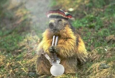 5CohJI3DJpCYXeYbPFBbFC00cyiRLU7LxutwWoguJBAIy4S8QsVq6Cpnf0A9URDaUSYIVdB-xoY4zp8_JWrlHOVe5RC8dqOEqbky20zAGuCc4PMs4Ohuerde5evNi9HleG0nC3VHbBq8YO0C6qUFnqUCTqYEO9NWDSuK3ZQOhAyHqVJVO9HWIb0fZxm8QEsRzEbifjDpn3twLseYWkpmsL1P9uhGFtyqr7AtQ9qGNTgWor83ITghB03pmbxkXwWcFVshZSuBJvLs_WY6rzOLsn60sF9heIw4054meeqqJoDsXleLRyYdqv0jXbMJZEa6lxCeZrAbALb--UpOdZ6Fv5RKwydLQLZgzP91mV4zCZA9xPI_YUicGuMv19p5mVaTfn9E2vf3Htrvchzi28S2uKdB_kTSG9M2DZjIT5ceJzyk-BK1axC3kL3uVrp-0LvRTqcizpK63VoQn6X5yui3cM4cBbolhB3J3YDdwJlVxLrVUU-lk3vjds-LmF-3PSdM5wlDhMqidYF_3FRK3AGIMD6kcN6zas87cY_EGkmZJpDsPGRbJETMmu7TfDIoFGfZxAH_B0K4cITsK5qfJR6Wfnd5YTeZgVXB7a6FOkzjGeAMRTPuANnv-gH_dSqrS4ZirP3k6lV1rMgcYFwwKBe3CdUBLEdg6SNFHQnpTVW_NPwn6HMn62O14Z3spatOoKuCbISx_fIZLOnxDAV7aXmUov_cdhgkxw55z4Eu4BnFF9vGQg5XMvsx9M6Jyq0UTTc-J4mi9LnwlmGenkUoniDosKxHof_AKn66AQ4Uu7jqpEL8XPRa5bU9al_i7kIJx4fIZ3AsNaEpAJSfOahc1113jpbogmd4U7dxbt7USSyiOLO-dtHMgBuvG3INlFhZOWZiHCxkywWnbdvsIl8i6sYXmgQRTseACGNXbUrKn7XeBB1XuKMGGLN14Dzs9TrNcFryjEcxPVIYPIthvkWIc