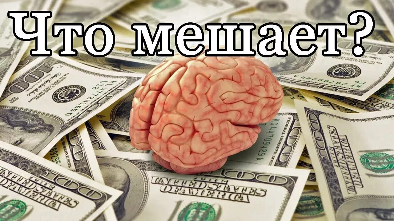 XpWWx55-BFPf3_rynFQJAN85AwMtUeEir4UMNS81v-hTcdjlwAPr-M35SwoV1LuZM1qp6frHTdRFBQ4urMSa8lpQ4nJ6DgQCm29eMzyVCFQe7TKiCNEiQRhHPnNdo6gvpHa8BeV265l5WDp85mD6amXczJ-t5uhU5fWv2BnA3_TO16fGmr5HgMivKXEvBOp0L8oypPyW8OF45K4xztKoz7SUL7SEllk4rNg7fEUm6ItE_v8MrrYqRgQV3mr5oL_VPsaVtTiMBrFJrNrwvVaapCy7QjcNVZMBa2e-ghwx2a1ll273VyYaqD9LC80FNOratU7MXY5EaqSUZW6auvPtBZxGBZZ4XvdzSi9L8i12qQWumnC1_sdAMnlHrBBPEjjdxAc-NQX3OqttSFvsl3WLSDc9bG685DvFR_WPislCzeW9BTb3KlzEwsm86lPtJsr3LxuQdZ2WIPOKll9wHGA6HwX0vAan5grrrSg5rZaGmlnHPF3-D5U4p7WXjKrLECw2zIbVp_mctyPJnFphfXXIN19r8wSuloEB-xdOo5xi6B30R26VNpYqW84aOk4nhgiJVAxebs9XmoQlBc6qirCNxz9XJOfK_PRiak95cByH-Da9K9Bk_lbhA8rWXVDt4QkdBYV_tLUES6tvS9o-FKeq27VOfa5vdSgUlRZdqBvzTKfO51d0K5-Gs9h8y9CdJcjVH8tAZKzm45JrN67zLzJIzeWGjbdH1siqDUubfUfneNl0LdwP7HT79JdXnLj4gJzHvXX31ZnOZ2BrHKgCPzbL5h8Y0Mb_tFFAyTd8Av3Dyq0lRT9HtVQb6FwqeY8l1ClIhj3eXj1ECZeUBF1r6JK_x6_l1oZJrfRRar9Kgi9Eu-Tta0JlPXdxU2sWDNOtw4nfZUQtFvbkmKufGgh8JwX769ctfj3_94gnhTQsiKjDHxc_JiWkuA5Eo0n9-ACtZir2HQmzdr-0UUJ4dr6j0